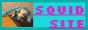 squids site